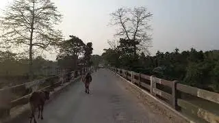 KOPILI Bridge || Kopili River near Tumpreng, Satgaon, Karbi Anglong, Assam