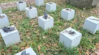 Jewish burials, Visions, Yeshua, Judgments for Israel, Psalm, Golden Stars of David. Archangel.