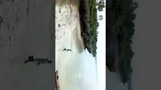 Angin puting beliung di kabupaten muna desa oempu walengkabola