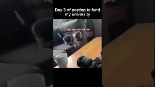 Day 3 #cute #xyz #fyp #dog #trending #studentloans #funny #help #university #please