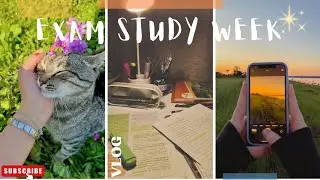 Study leave for exam|| Cooking|| busy schedules|| @siyariDb3254 