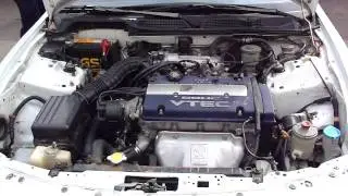 F20b + Y80 in Integra DB7