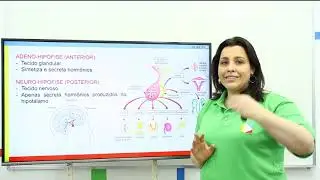 Biologia - Sistema Endócrino: Adeno Hipófise