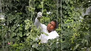 The Next Generation Ingredient Company