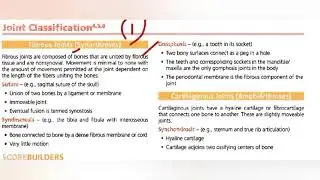joint classification and joint receptor scorebuilders