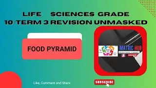 Life Sciences Grade 10 - Term 3: Food Pyramid Questions Answered.