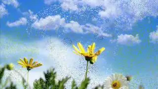 Yamaha MOX6 Joy Ballad.wmv