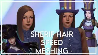 Speed Meshing 14: Sherif Hair