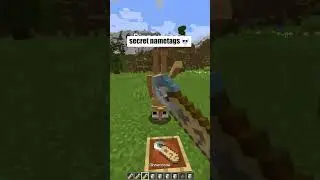 Minecraft secret name tag #minecraft #fypシ゚viral #technoblade #gaming