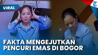 FAKTA MENGEJUTKAN! Ibu-ibu yang Maling Emas di Mal Botani Square, Ternyata Ini Motifnya