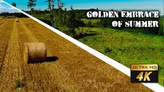 Golden Embrace of Summer: A Drone's Aerial Odyssey