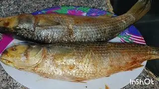 الفسيخ المخلل من ايد ام سلمي بنتي 😋🦈😋😋🤔