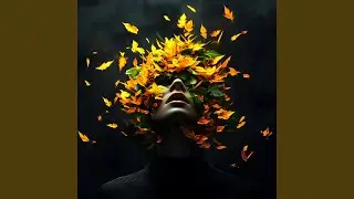 Cool Wind Serenade