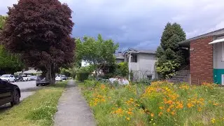 Walking to Knight Street in VANCOUVER BC Canada via Culloden Street & East 37th Avenue. City Life.
