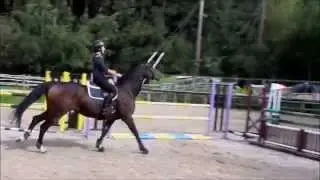 Training 14-09-15