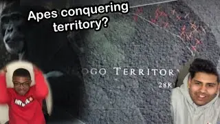 Most Brutal Chimpanzee Society Ever Discovered | Rise of the Warrior Apes | Reaction ‼️