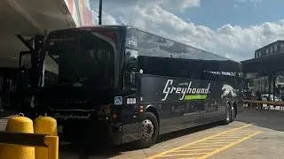 Greyhound USA 2024 Prevost X3-45 #87187 (Worcester to Hartford) Ride on