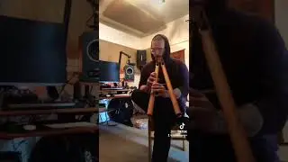 Double D Minor drone Native flute meditation improvisation