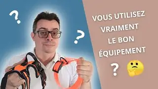 Harnais Ou Collier ? Le Meilleur Choix Pour Votre Chien