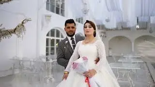 حفل زفاف . مصطفى و دلفين