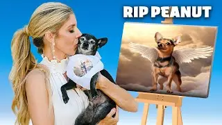 Our Dog Says Goodbye to Best Friend *emotional*
