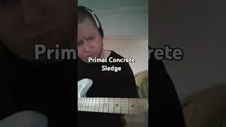 Pantera - 