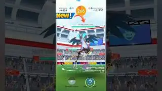 🔥 MEGA CHARIZARD X SOLO 🔥 USING TOP COUNTERS | Pok&eacute;mon GO