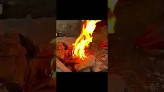 Making Woodfire Tea in Mountains Forests #shorts #camping