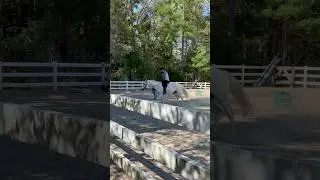 Posting trot while on the lunge line