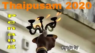 Thaipusam 2020 Penang Malaysia - Gold & Silver Chariot Procession