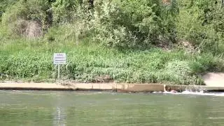 Surfing Neckar 3