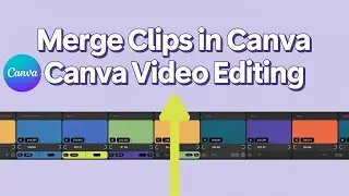 Canva Video Editor: Combine Multiple Clips in Minutes