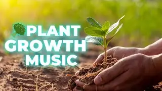 🥦 Plant Growth Frequencies 432hz - 2025 & Tested