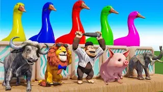 Long Slide Game With Cow Elephant Gorilla Hippopotamus Dolphin 3D Animal Game Funny 3D Animals
