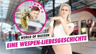 Du hast dein Leben lang Wespen missverstanden