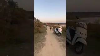 Mudhol Hound Puppies Racing 🔥 #dogracing