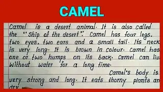 Simple Easy and Short English Essay on Camel | Write Best English Essay on Camel