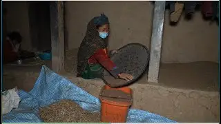 Threshing millet grains in the village ll village life
