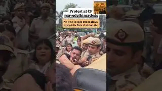 #dog🐶#savedelhincrdogs🐕#god🙏#delhi#newdelhi#news#love#dogs#animals#viral#shorts#shorts#trending#pets