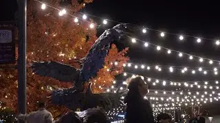 Holiday Lighting in Downtown Fort Collins