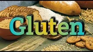 Gluten