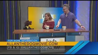 Allan The Dog's Favorite Perks of Fame on 