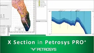 Petrosys PRO+:  X Section