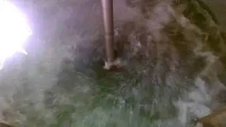 1545 Litre SS 316 Tank - Agitation System