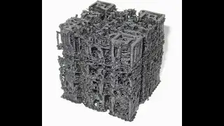 The 