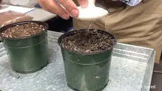 PittMoss | Demonstration