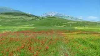 CASTELLUCCIO DI NORCIA - La FIORITURA del giugno '13 - Full HD