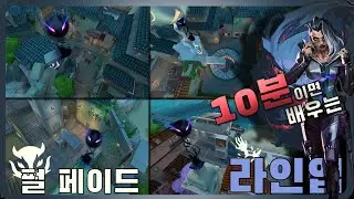 10분이면 배우는 펄 페이드 라인업｜Fade Pearl Lineups