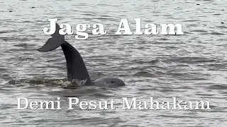 Jaga alam demi Pesut Mahakam