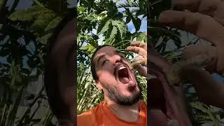 WOW. 🤣 #grubhub #foodforest #gardening #comedy #comedyshorts